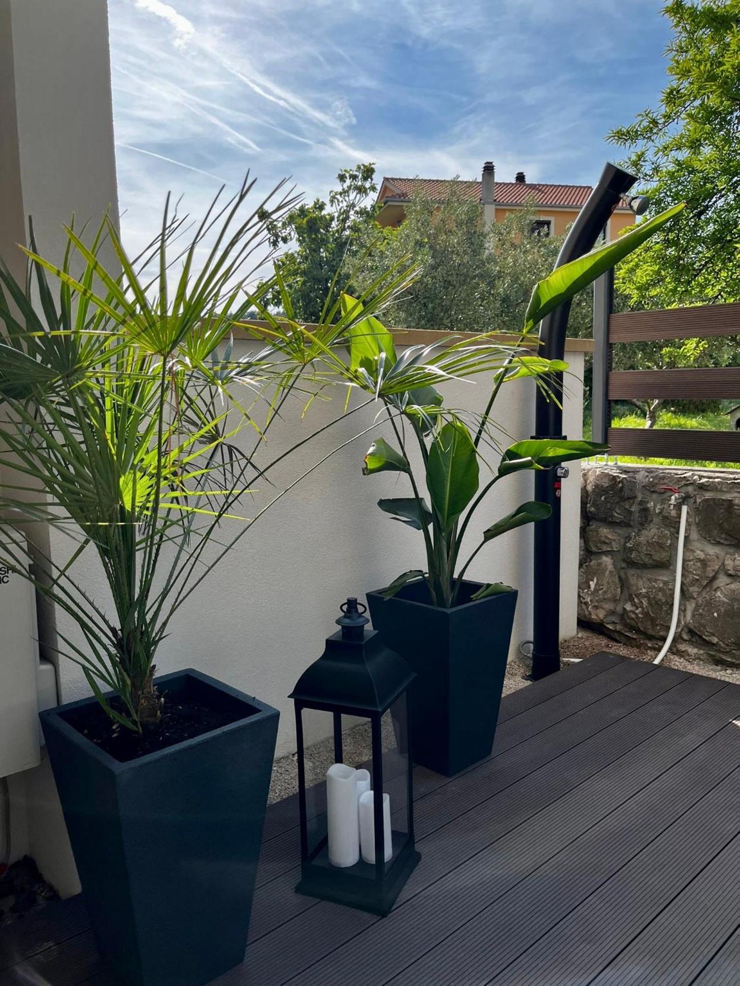 Studio Apartment Rosa Krk Krk Town Bagian luar foto